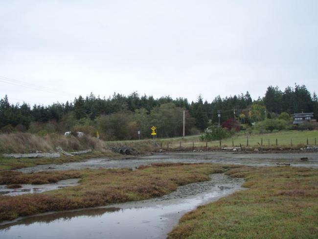 An image of the Kilisut Harbor project area prior to construction, which shows a tidal channel without a bridge.